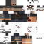 skin for Getauskin