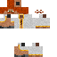 skin for ginger