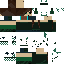 skin for green ahh girl