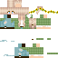 skin for Green Flannel