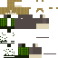 skin for Green Plaids