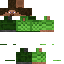 skin for Green Steve Guy