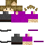 skin for grian