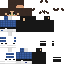 skin for Gt