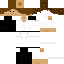 skin for Guy In Shirt