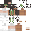 skin for gween