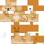skin for halloween doge v3