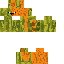 skin for Halloween melon pumpkin
