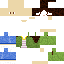 skin for HansaSkin