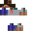 skin for He made it STEVE