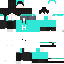 skin for Heeko