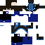 skin for hey its me winter