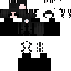 skin for hgfdsx