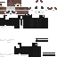 skin for hida