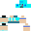skin for Ice