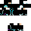 skin for Ice Prince