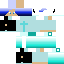 skin for Iceprenst