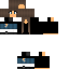 skin for idel