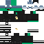 skin for Idk Turtle with sumthin