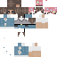 skin for indie grey