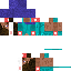 skin for Inverted steve 
