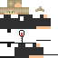 skin for Its election day on my Minecraft server