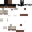 skin for Jake