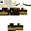 skin for Jeb_