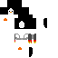 skin for Jetpack Penguin