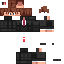skin for jsp