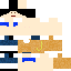 skin for JuanDiario