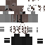 skin for Kelssco