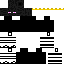 skin for King enderman