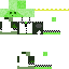 skin for KING SLIME