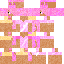 skin for kitty now