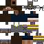 skin for Knight Steve
