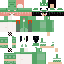 skin for Le Froggo