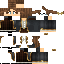 skin for Librarian