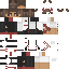 skin for Lutes