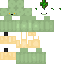 skin for MadKiwi999