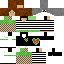 skin for Me but im a minecraft skin but im an e girl