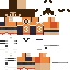 skin for miinguwx