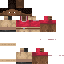 skin for Minecraft