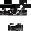 skin for Minegoall