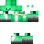 skin for Mint