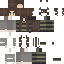 skin for Mint