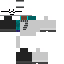 skin for Mr blockman