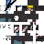 skin for MR_PIRATE_DUCK
