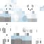 skin for Mr polar bear