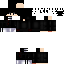 skin for My Oc Chracater